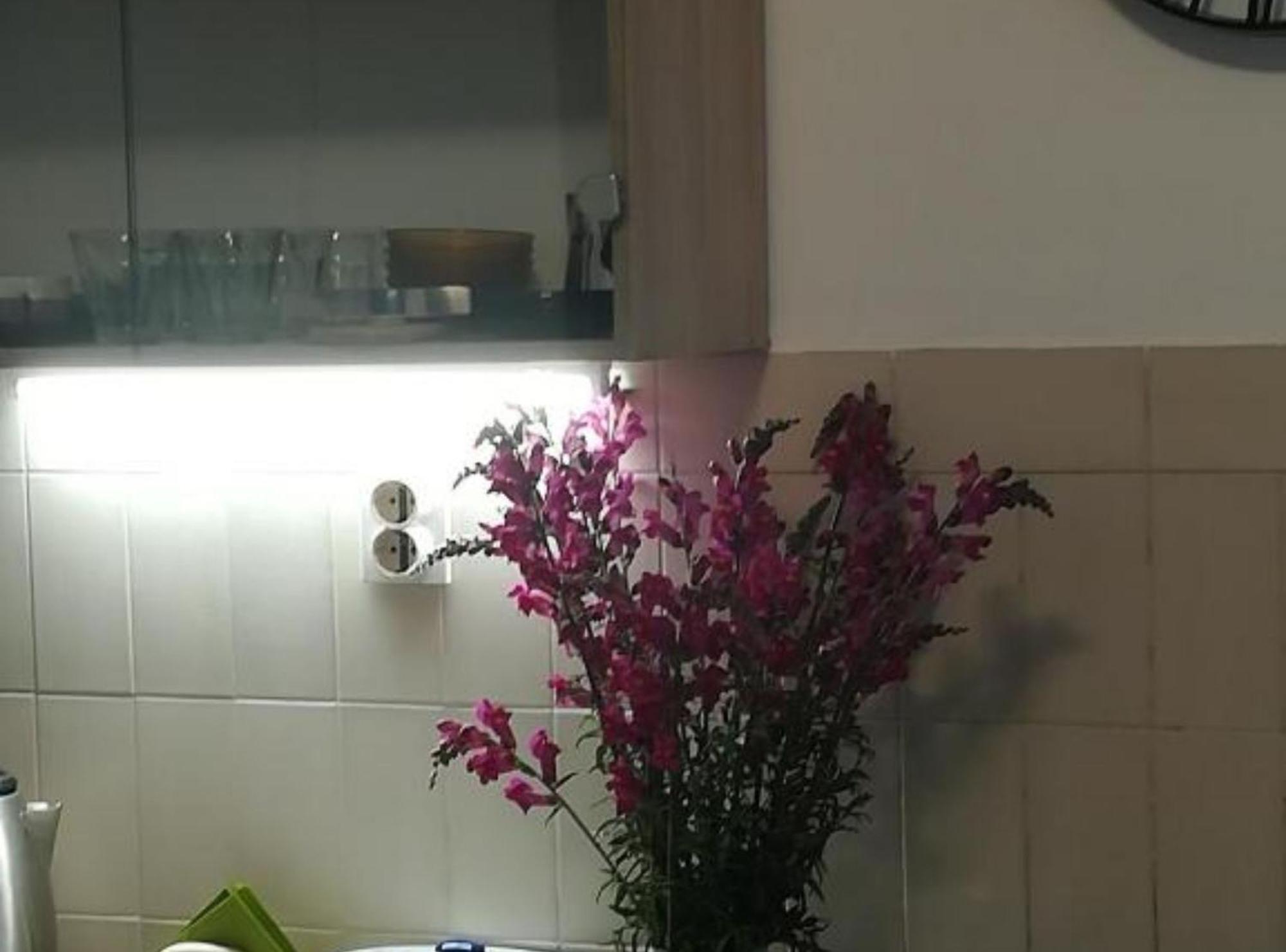 Apartman Olymp Osijek-Garaza Luaran gambar